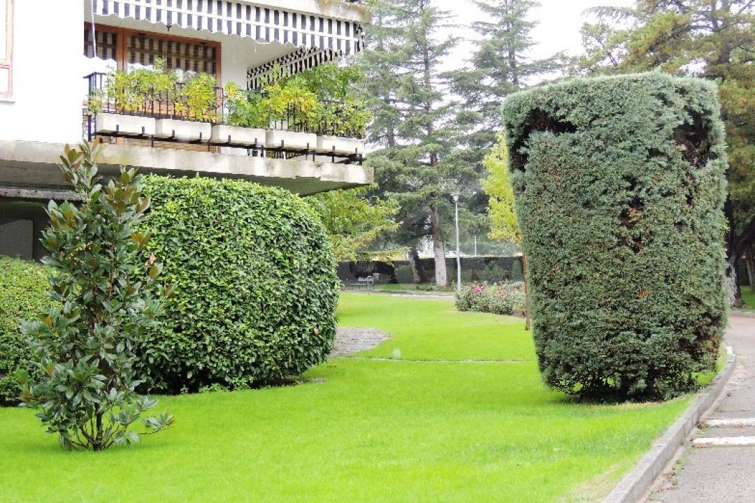 Piso En Alquiler En Jardín De Los Reyes - Parque Real, El Escorial (Madrid) - Ref: 2367 - 1/41